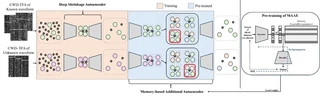 DSAE–MAAE framework